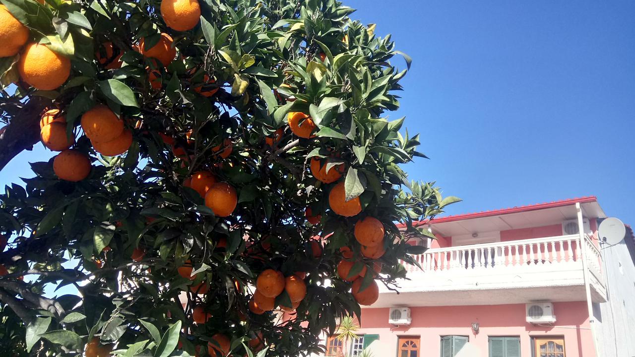 Flamingo Apartments Moraitika Corfu ภายนอก รูปภาพ